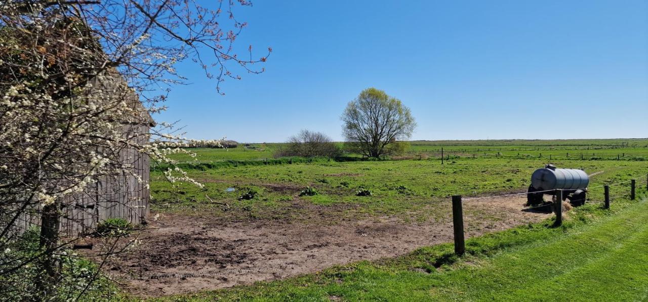 Kronsgaard Ferienwohnung 'Gelting' - Refugium Pottloch Ostsee מראה חיצוני תמונה
